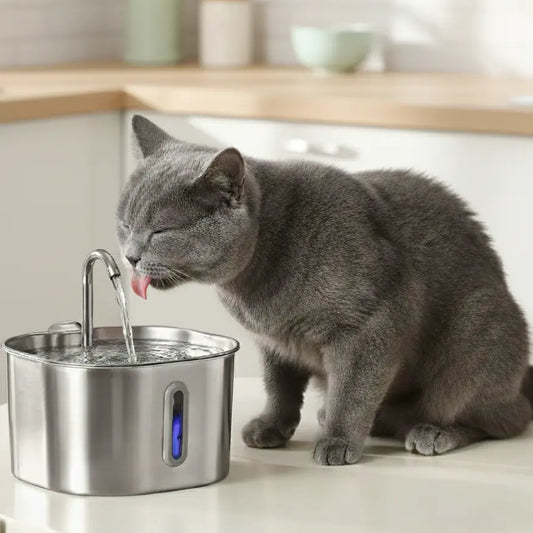 Fontanna PurrWater™ 2.2L + Zestaw Filtrów